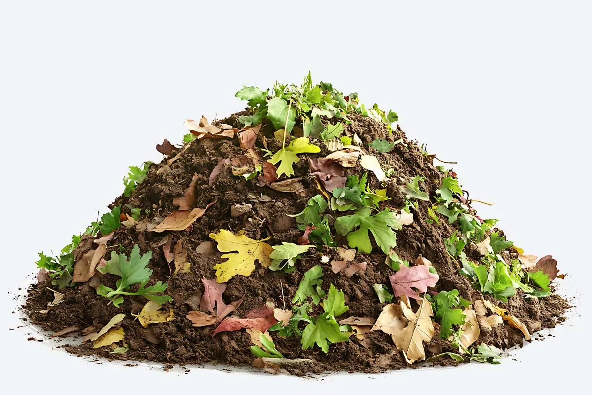 Garden waste removal in Bounds Green, N22